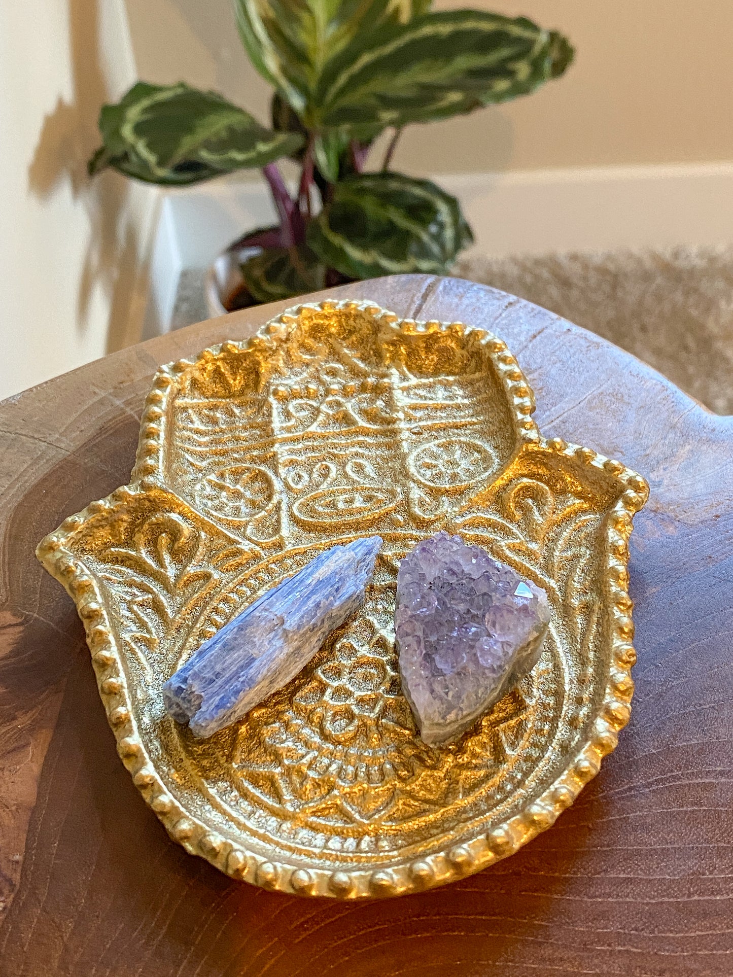 Hold-All Dish